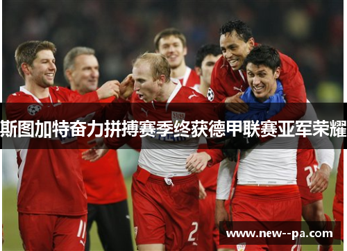 斯图加特奋力拼搏赛季终获德甲联赛亚军荣耀