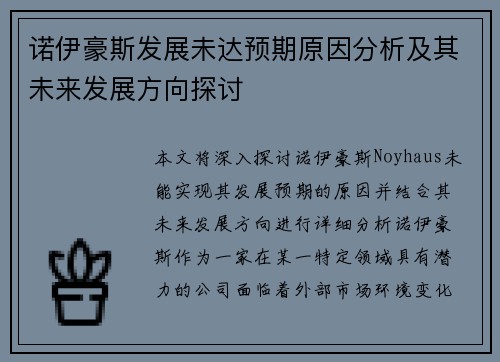 诺伊豪斯发展未达预期原因分析及其未来发展方向探讨 诺伊豪斯发展未达预期原因分析及其未来发展方向探讨